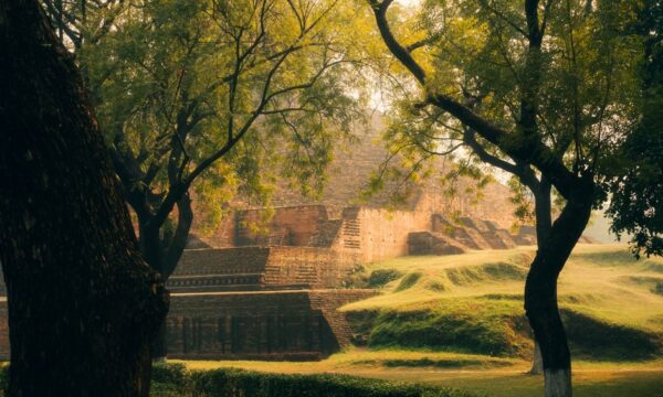 Shirovasti 시술 – 머리와 목 장애 및 스트레스 완화를 위한 이상적인 치료법