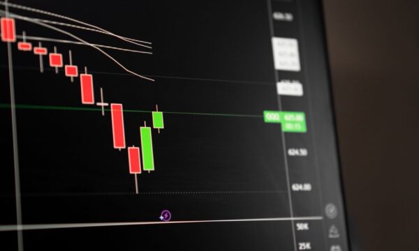 막막한 투자 사기 극복, 확실한 해결책을 제시하는 법무법인 라운