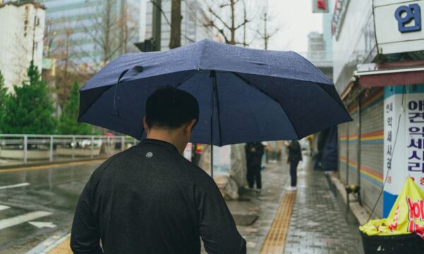 비가 내리는 라면이다